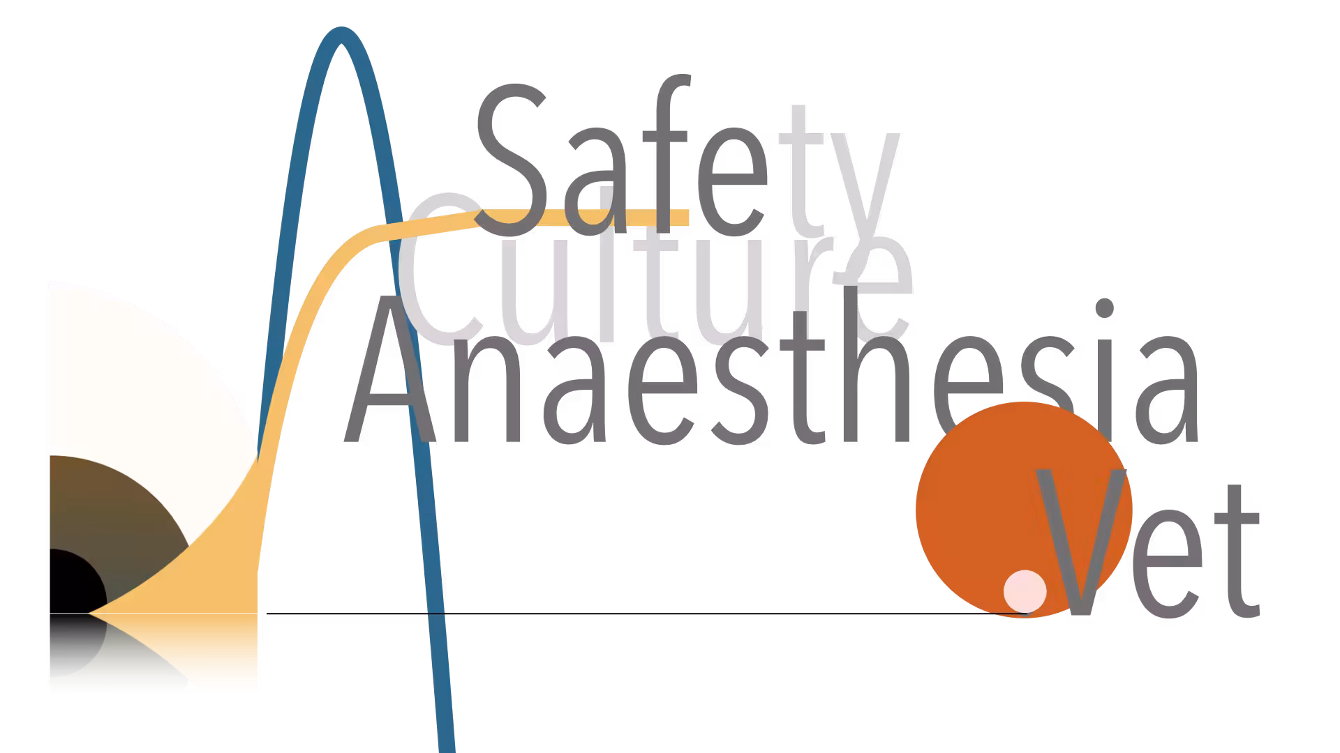 Logo SafeAnaesthesia.Vet